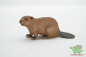 Preview: Schleich Biber 14245
